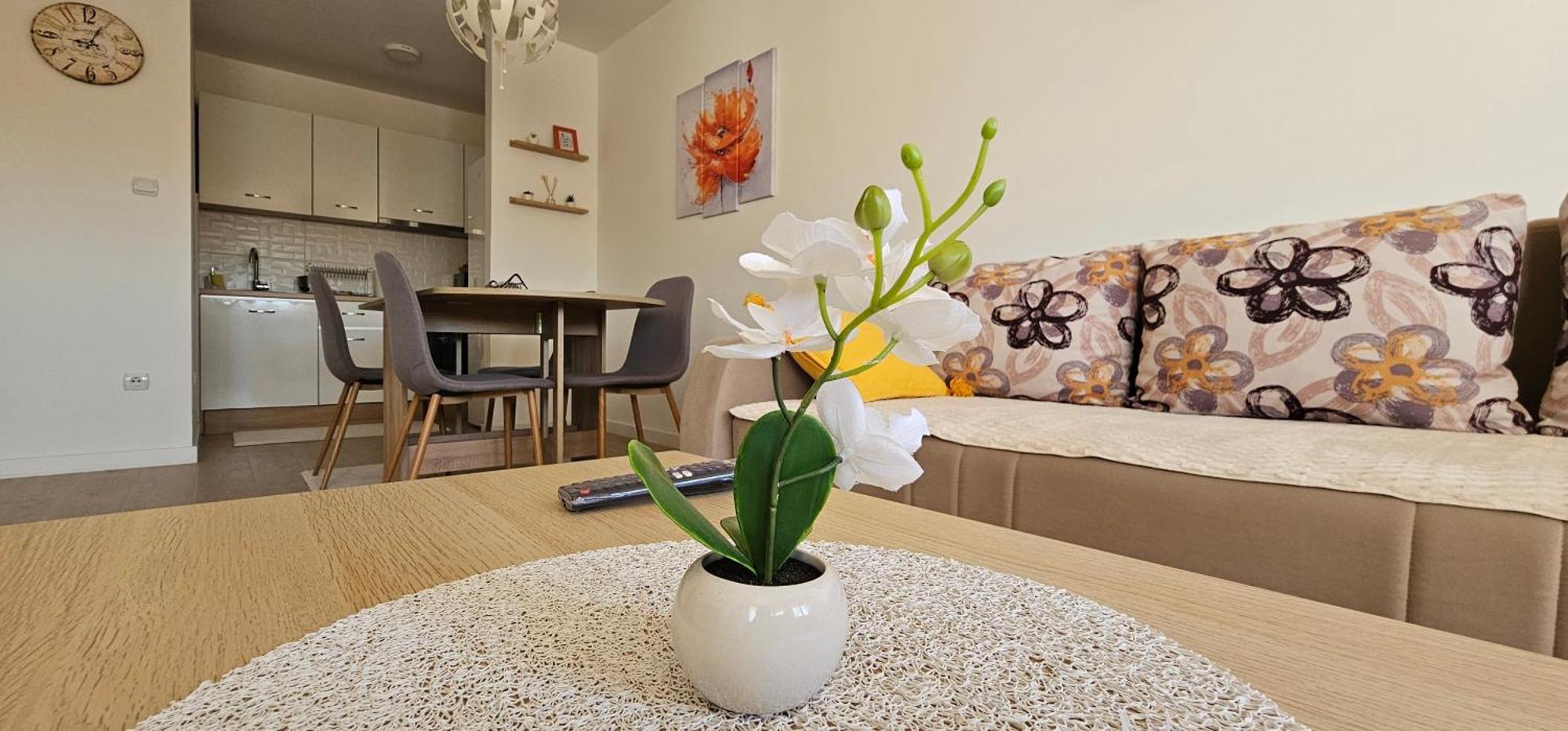 Apartman Vukota 2 Pirot Zewnętrze zdjęcie