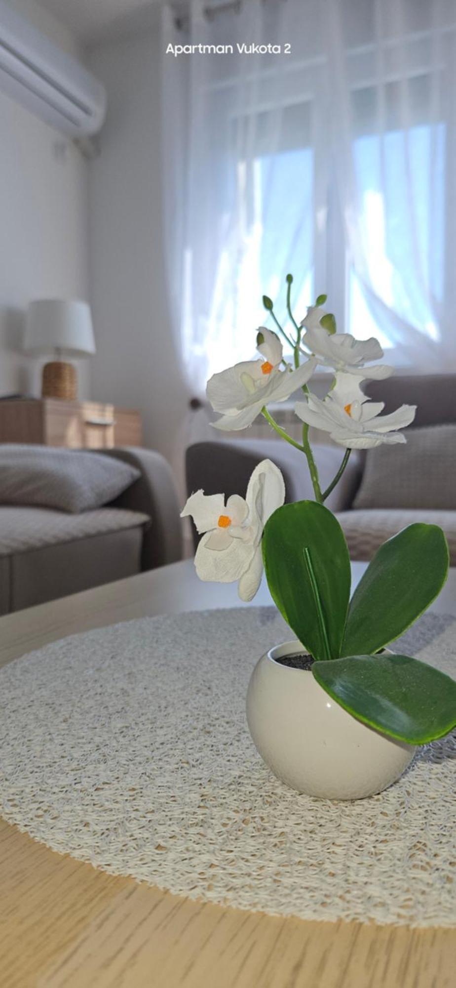 Apartman Vukota 2 Pirot Zewnętrze zdjęcie